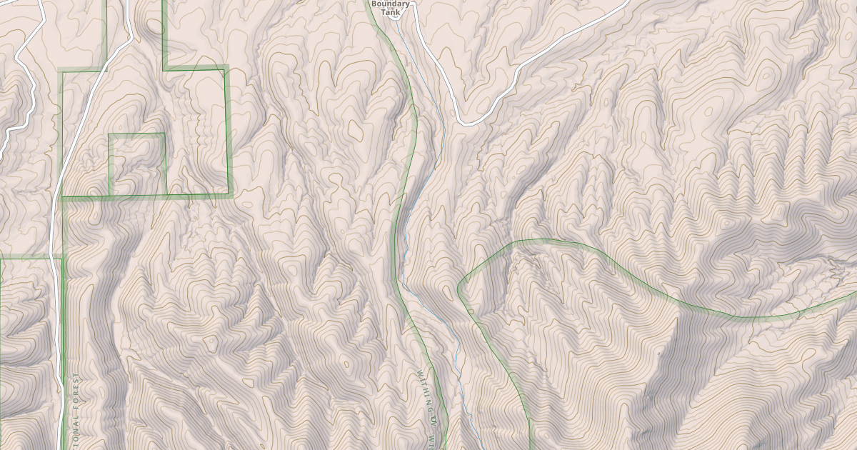 Map preview of USFS Motor Vehicle Use Map Roads {58AA3A05-7F2F-414D-9DB0-B98F54B5D49F}