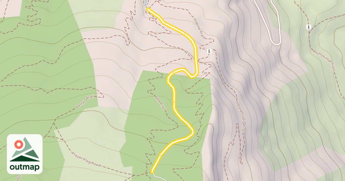 Map of Blackmer Drive