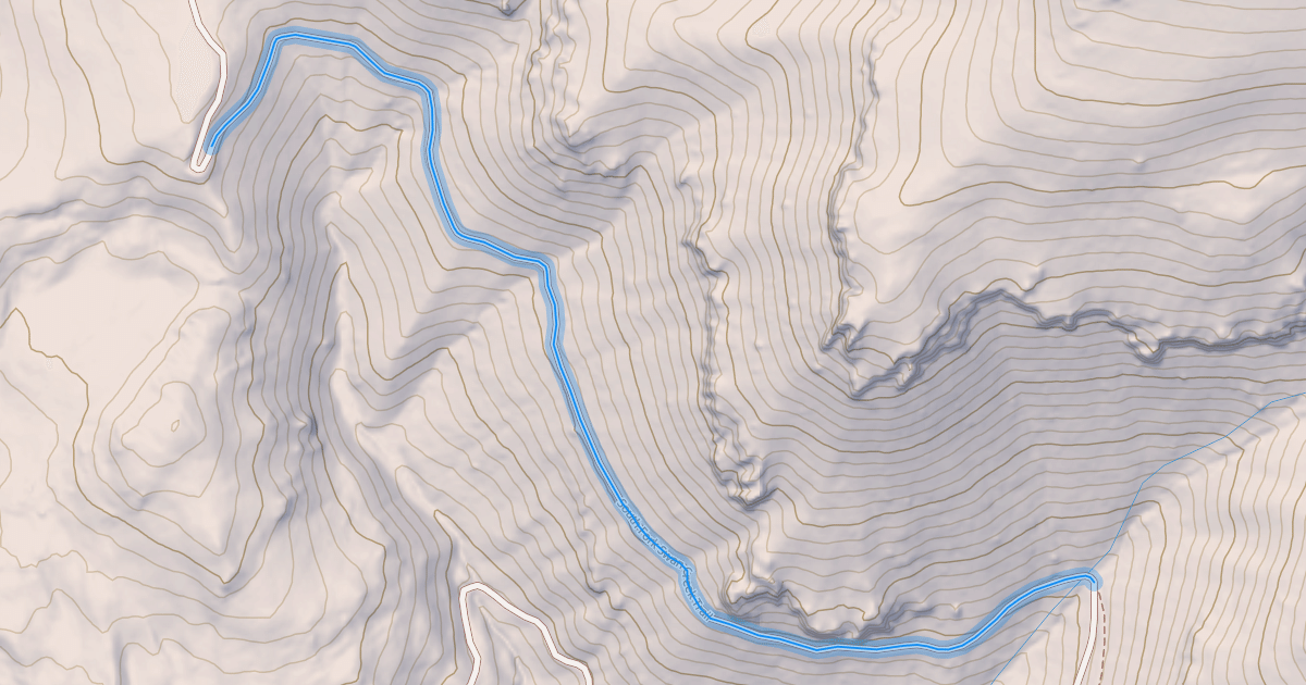 Map preview of South Fork Swan Creek Trail