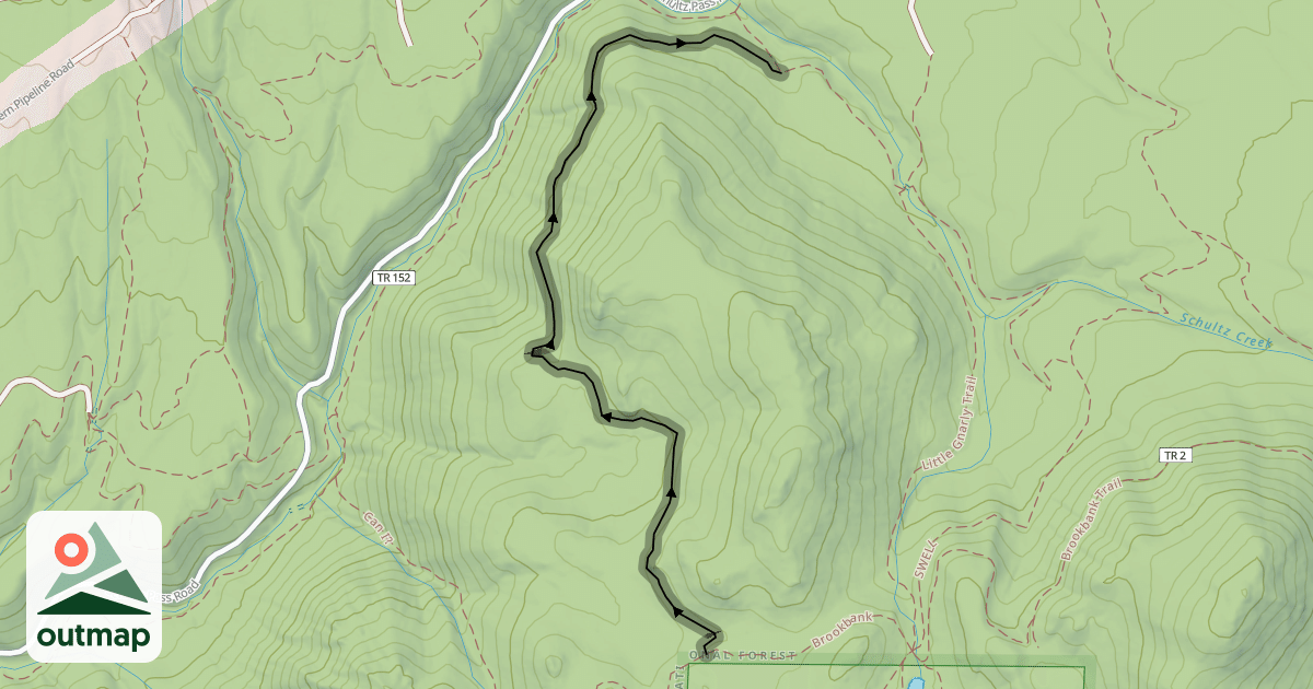 Map of Lunar Tide