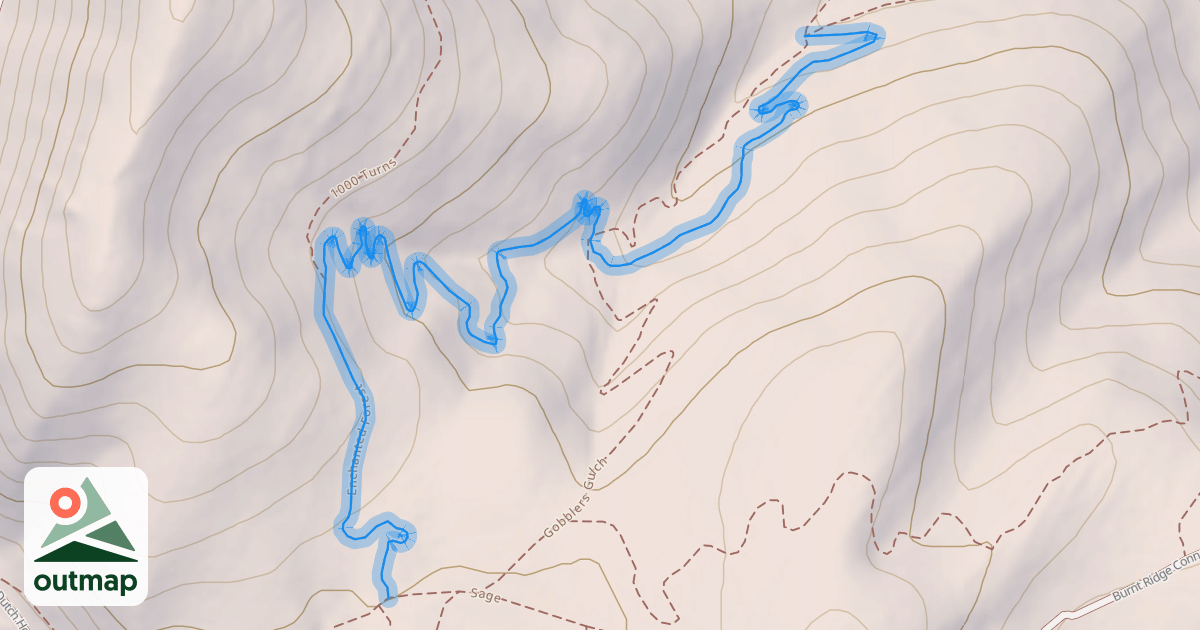 Map of Enchanted Forest