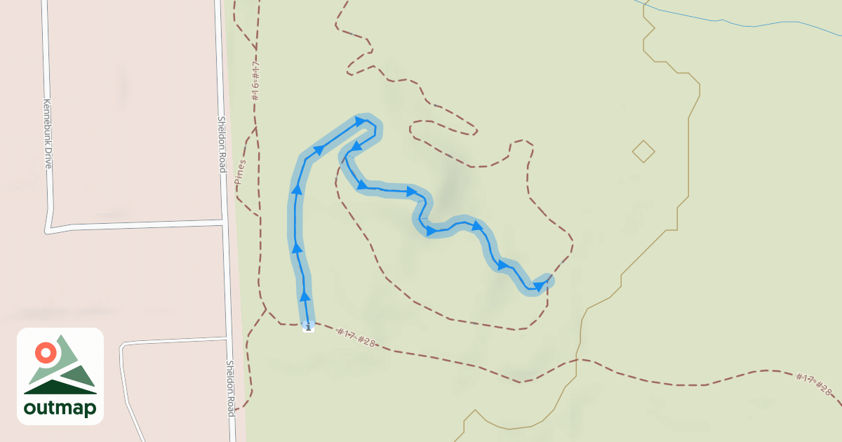 Map of Pines