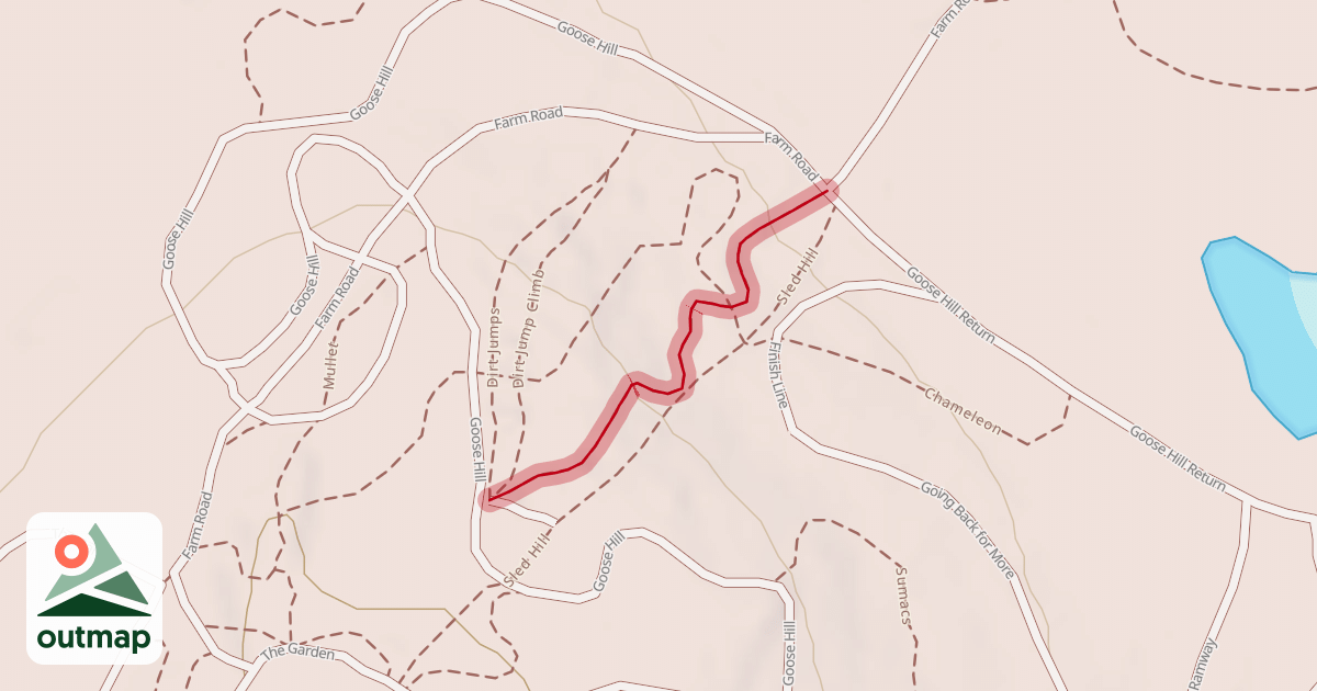 Map of Dual Slalom Course