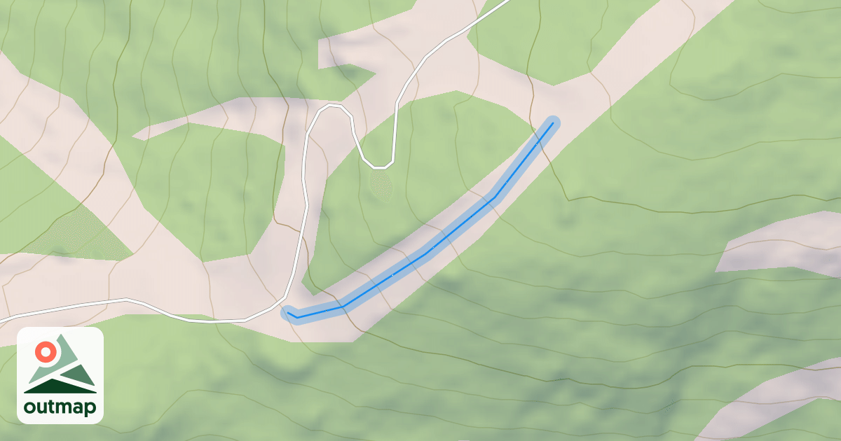 Map of Lower Snowshoe