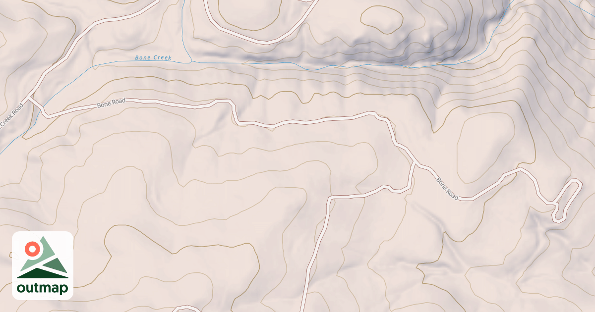 Map of BONE