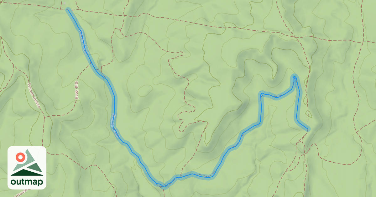 Map of Beaver Pond