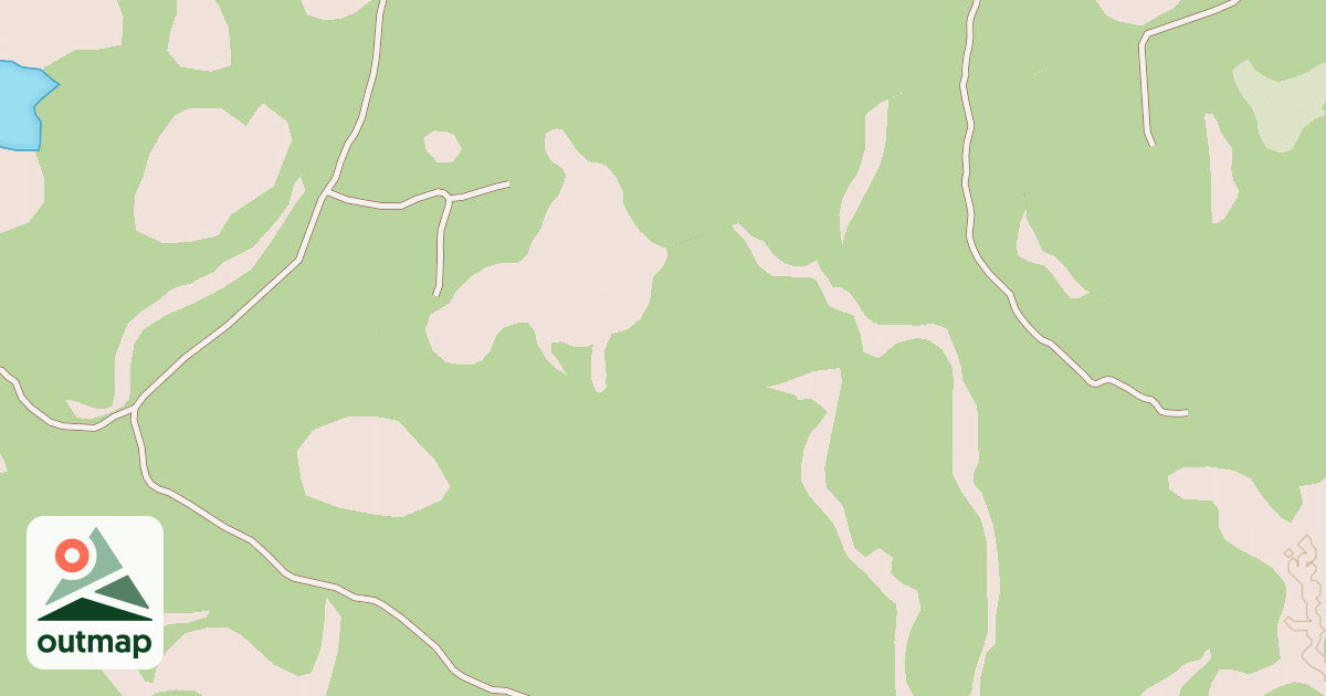 Map of USFS Motor Vehicle Use Map Roads {0246874D-FA69-4AD9-84DC-E53377514867}