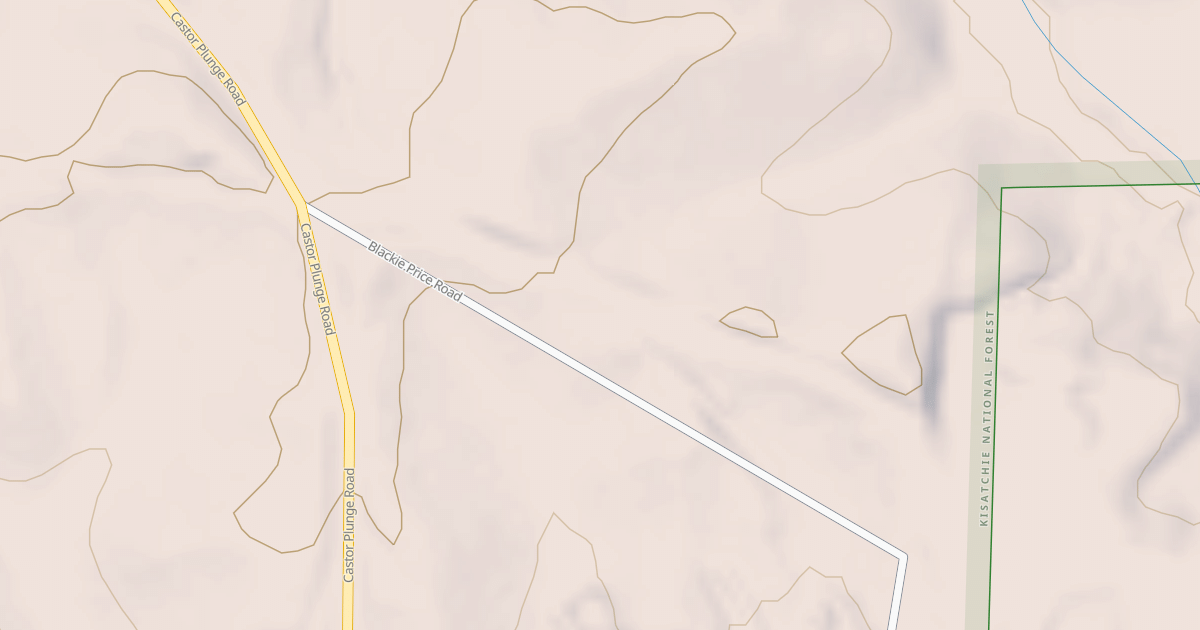 Map preview of USFS Motor Vehicle Use Map Roads {7FFEB497-3628-4F3A-92BA-86A520E08F82}
