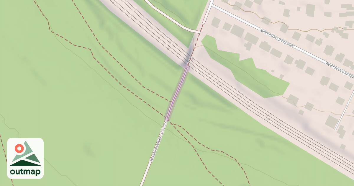 Map of Route Forestière d'Antin