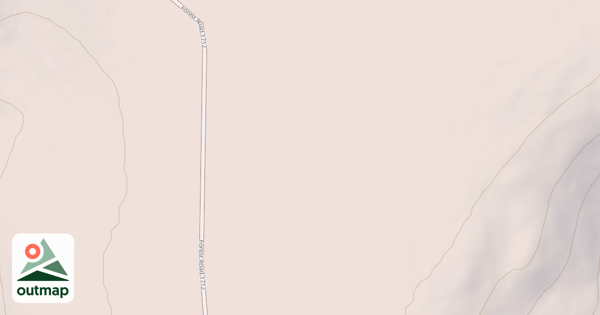 Map of USFS National Forest System Roads {7C3C6291-57D1-49B6-9E72-BF6C26D59593}