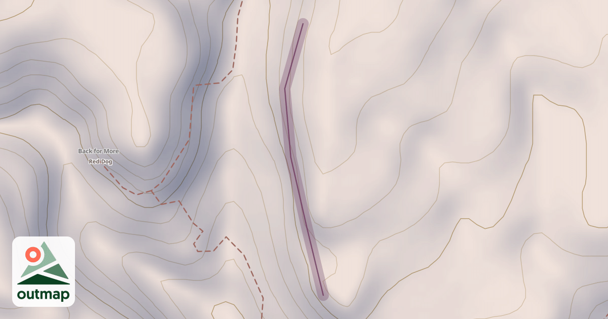 Map of Fish Wall