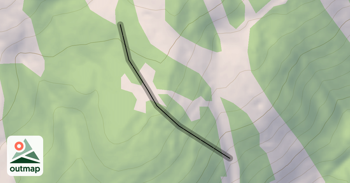 Map of White Pine