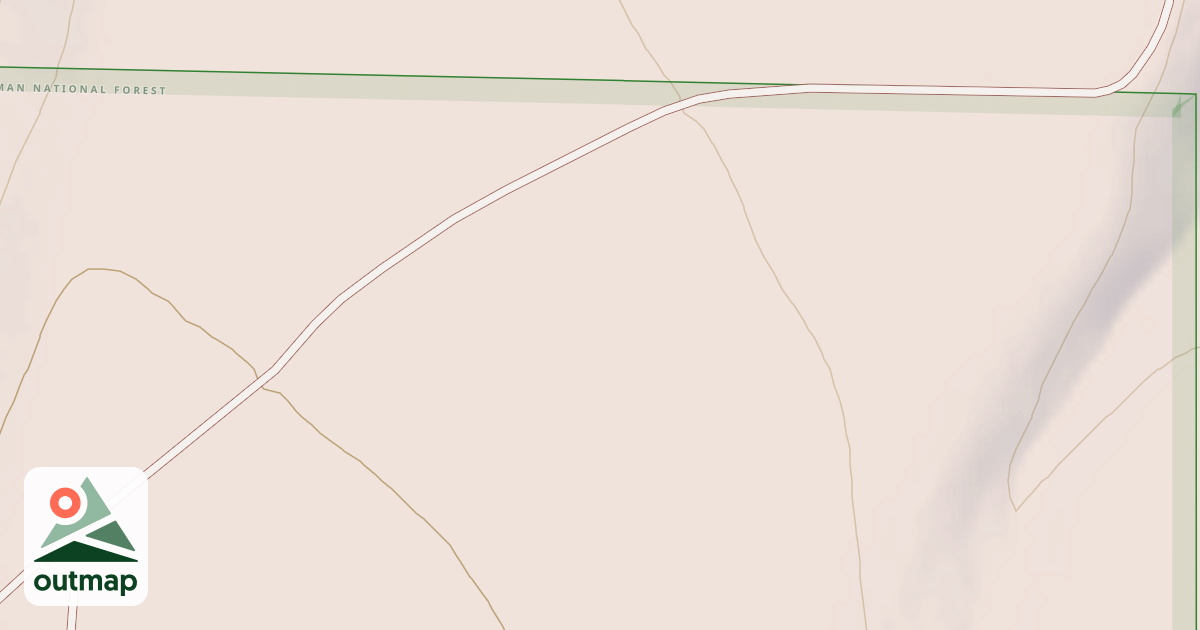 Map of USFS National Forest System Roads {0216776E-1E30-48C8-A24F-85040169FA25}