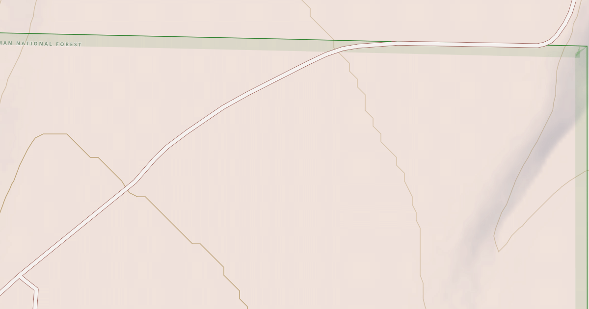 Map preview of USFS National Forest System Roads {0216776E-1E30-48C8-A24F-85040169FA25}