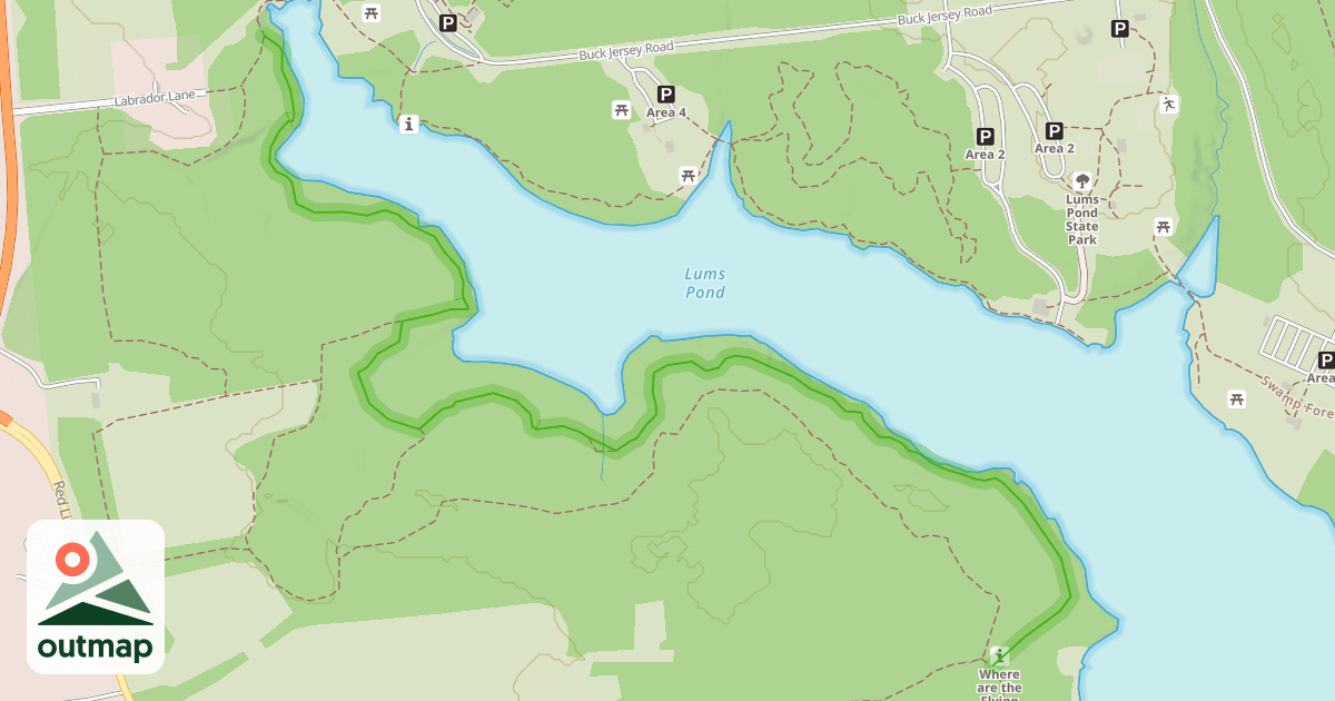 Map of Swamp Forest Trail