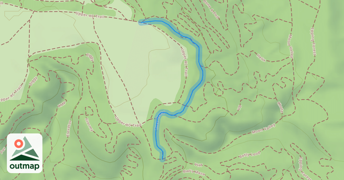 Map of Tree Beard