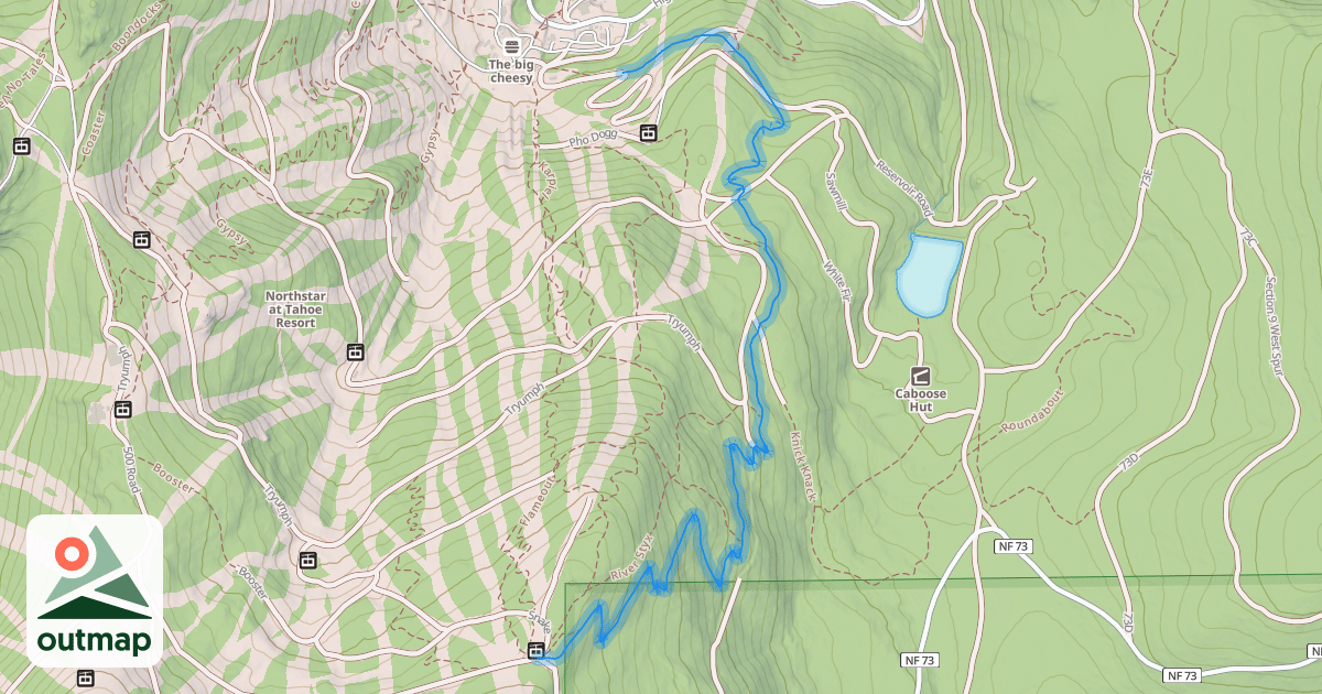 Map of The Woods
