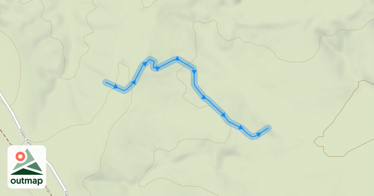 Map of Roller Derby