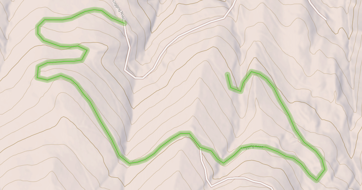 Map preview of Logging Road