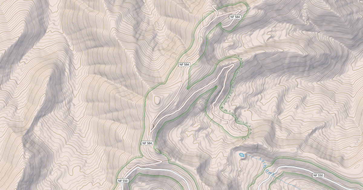 Map preview of COUGAR MINE ROAD