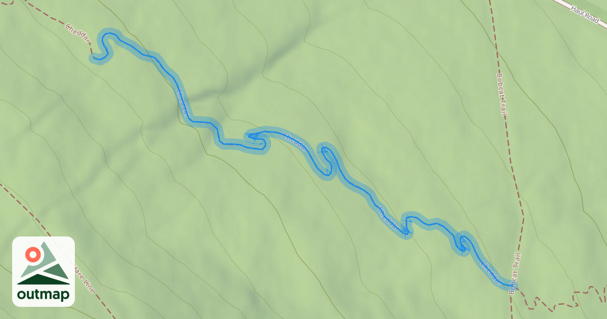 Map of Cheddar