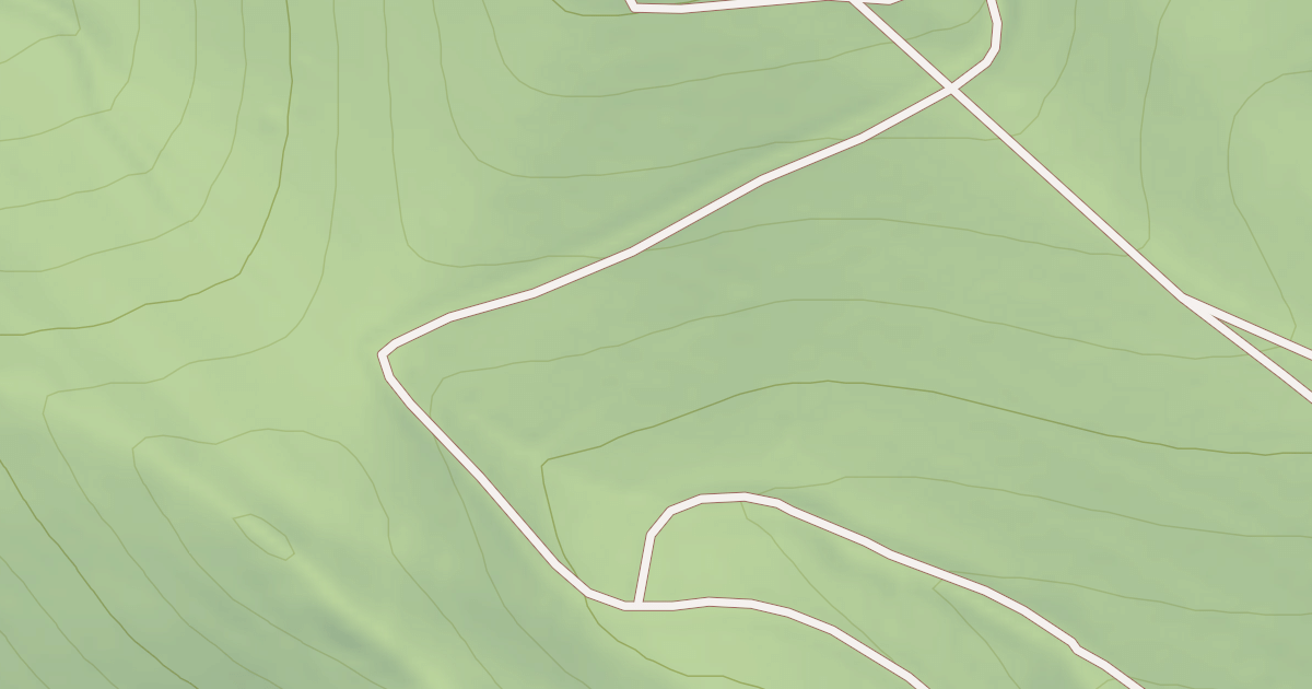 Map preview of BLM National GTLF Public Motorized Roads 329cbe0e-ca48-4e47-a826-a4ae8c14297a