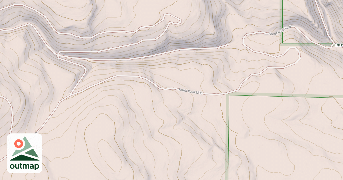 Map of USFS National Forest System Roads {11884BC5-1C6F-46D2-80A3-C5FA43896D2C}