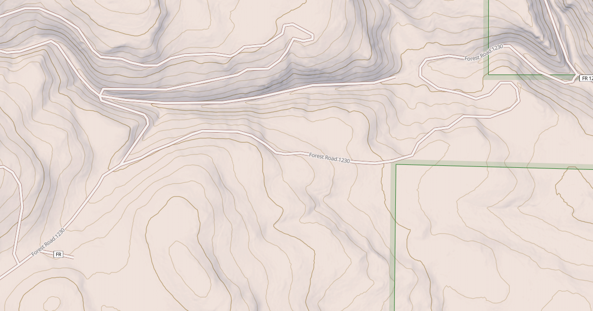 Map preview of USFS National Forest System Roads {11884BC5-1C6F-46D2-80A3-C5FA43896D2C}