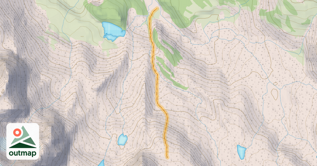 Map of Arnica