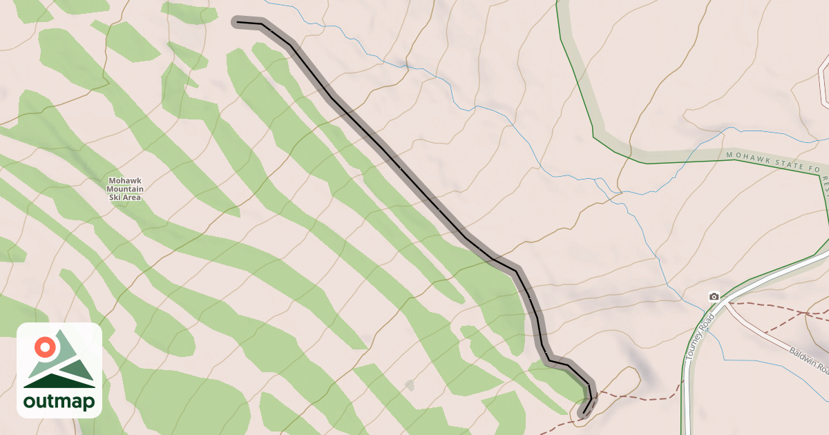 Map of Timber