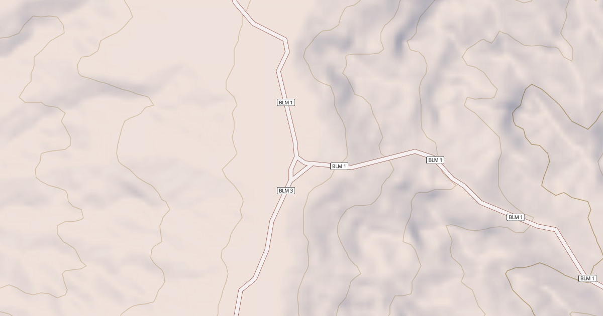 Map preview of BLM National GTLF Public Motorized Roads 2d2f6fd8-1f32-4863-8b4b-d7955d590ab8