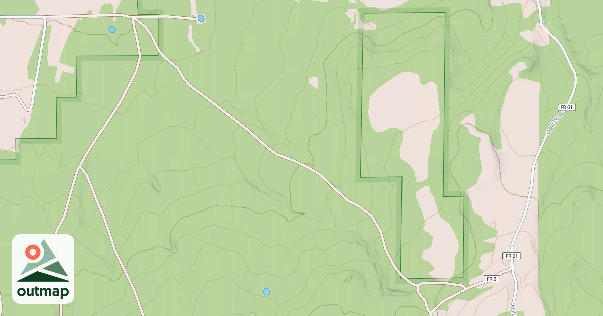 Map of USFS National Forest System Roads {7C7EEE8B-F35F-47B6-991B-29561920B21F}