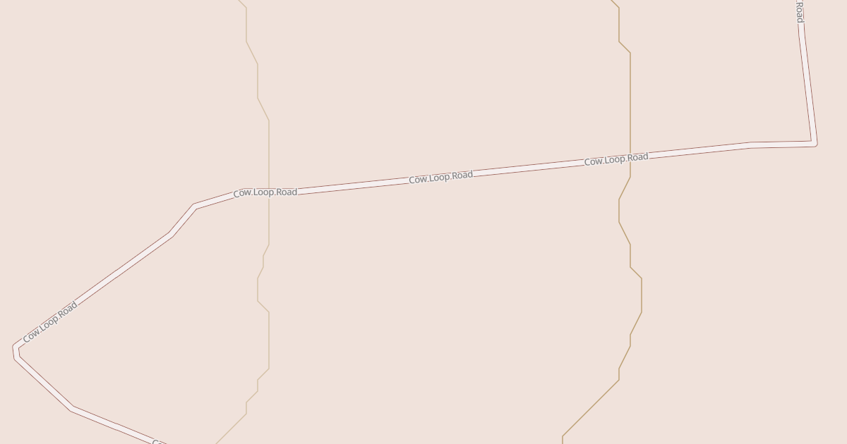 Map preview of BLM National GTLF Public Motorized Roads 16f72cee-21da-4715-ac22-f2801111edf3