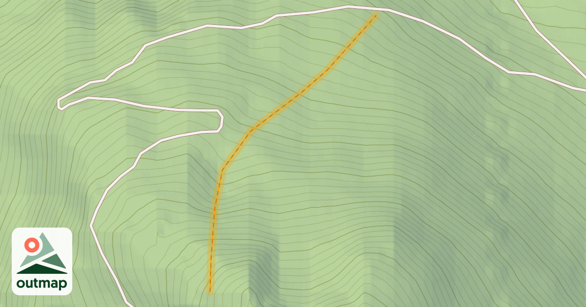 Map of Bikini Bush