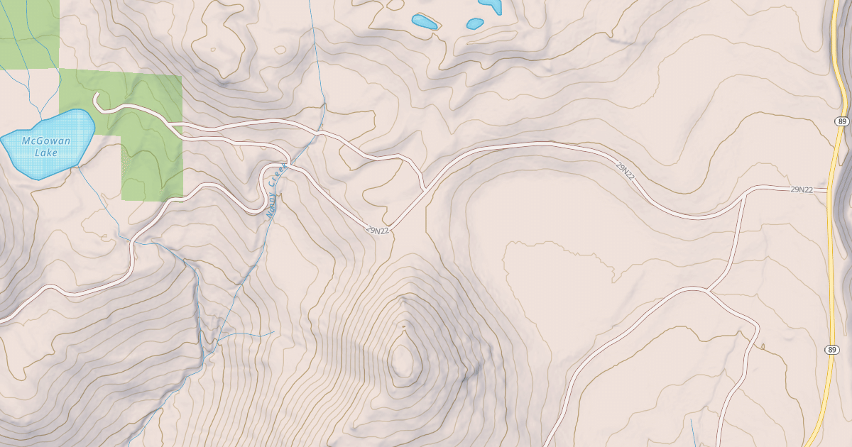 Map preview of MCGOWAN LAKE