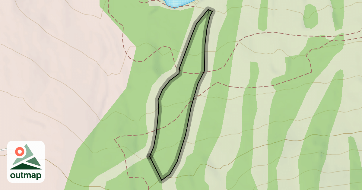 Map of Tree Skiing