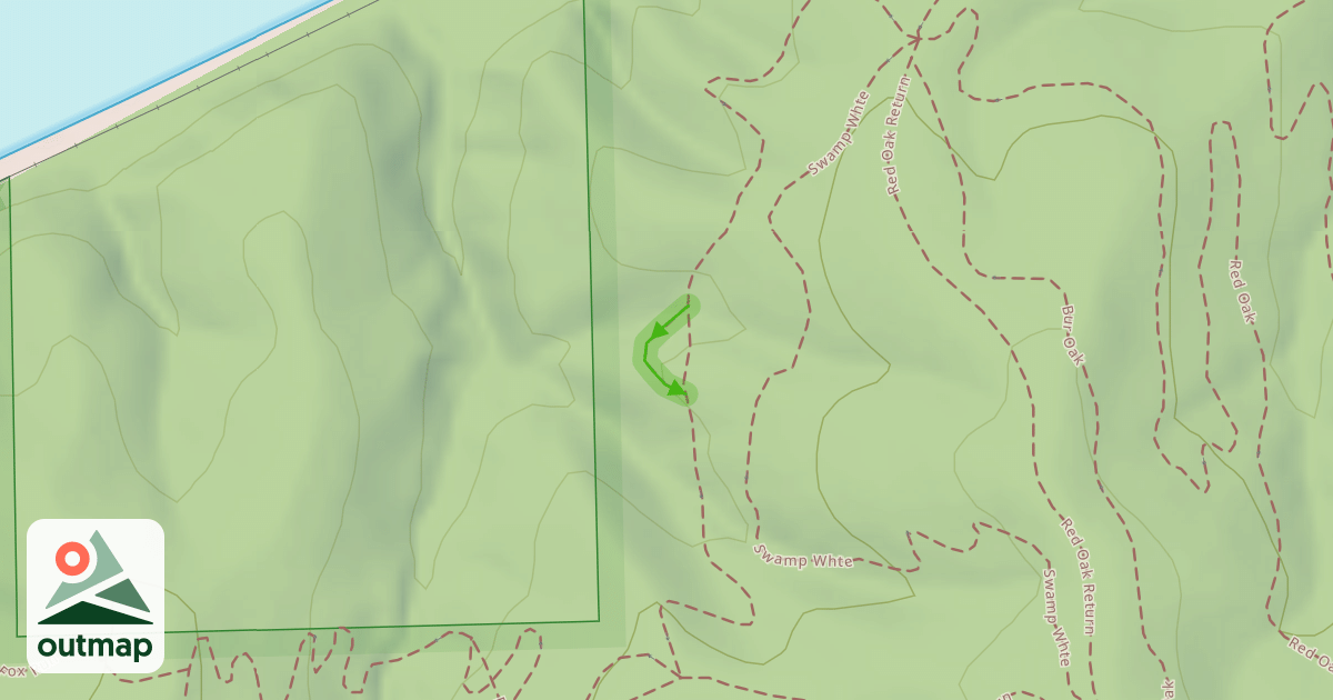 Map of Spotted Skunk
