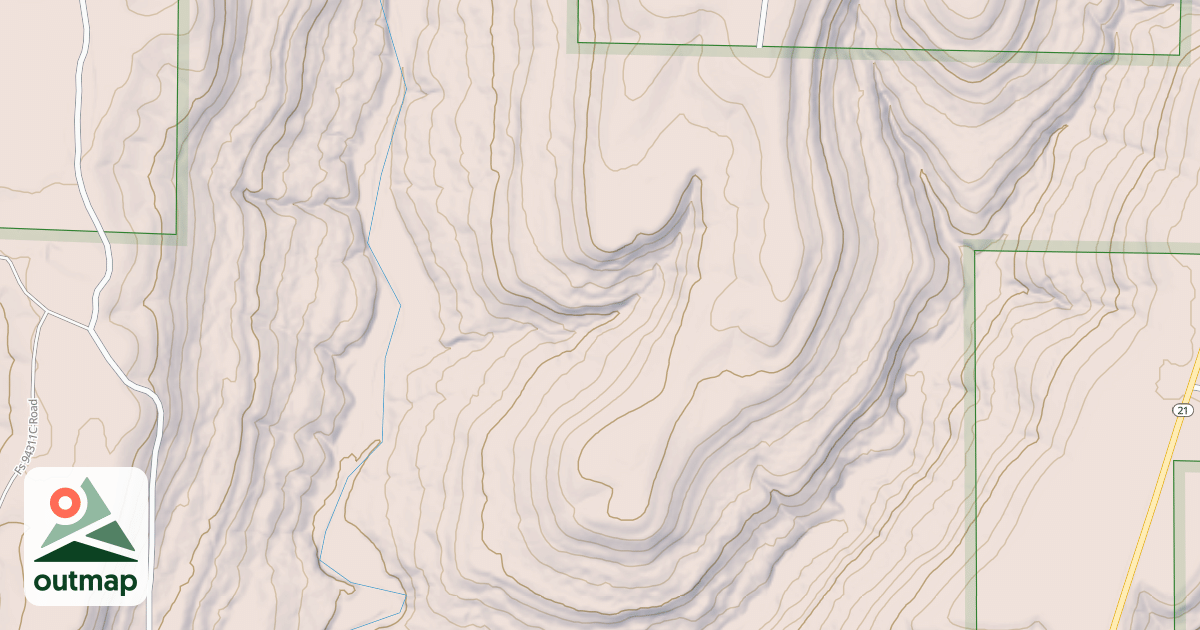 Map of USFS National Forest System Roads {4844A496-9551-4D98-8D74-CC8FEA735BD3}