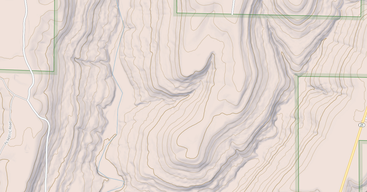 Map preview of USFS National Forest System Roads {4844A496-9551-4D98-8D74-CC8FEA735BD3}