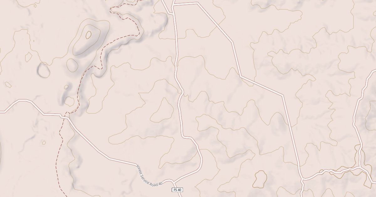 Map preview of USFS National Forest System Roads {6DEA9A7D-7AC4-49D9-B84E-87A232BD1B63}