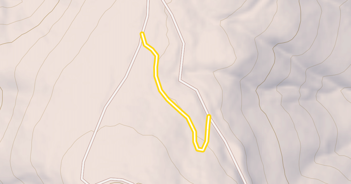 Map preview of Mt. Amabilis FS Rd 4822