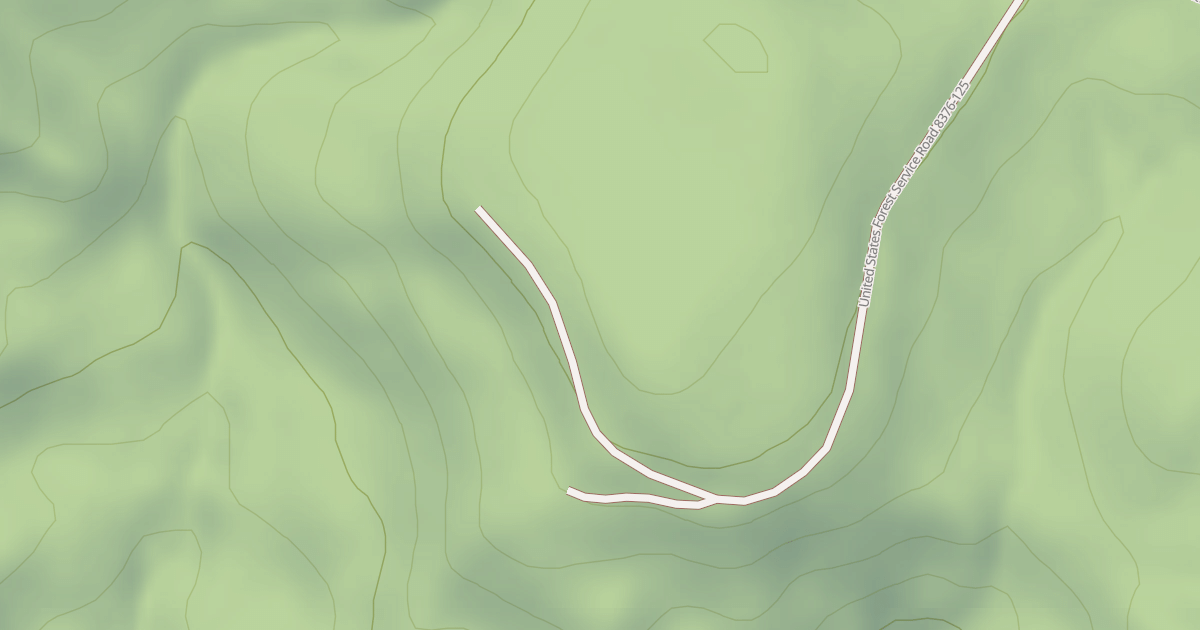 Map preview of USFS Motor Vehicle Use Map Roads {67F8DCAE-CD56-4747-ACC5-D28D08D84E9A}