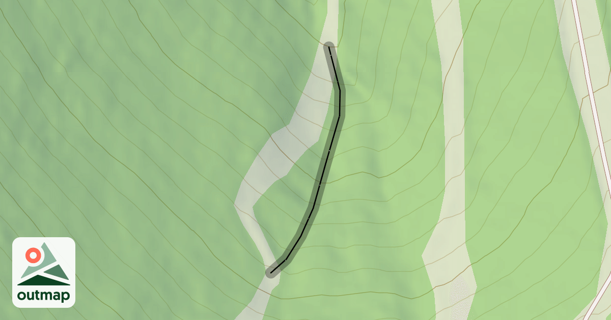 Map of Mushroom Glade