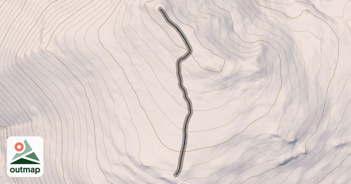 Map of Rat Lake Trail
