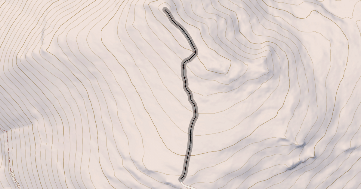 Map preview of Rat Lake Trail
