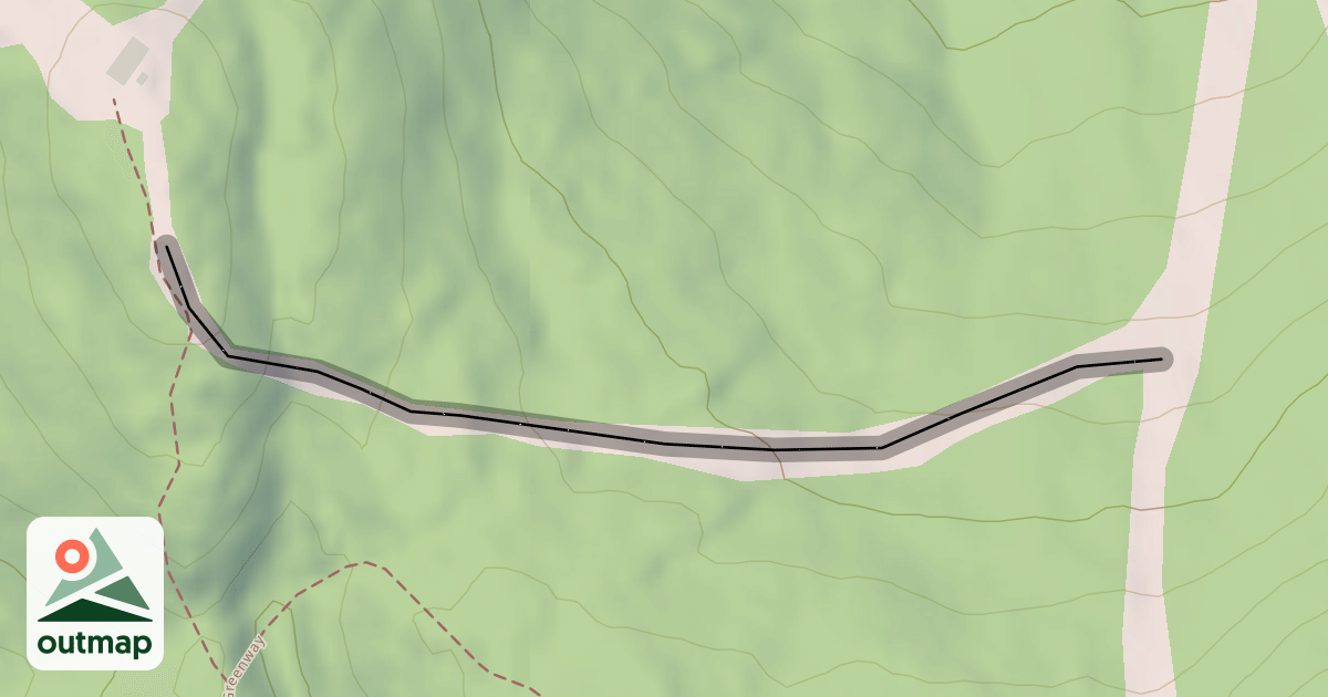 Map of Miss Behavin