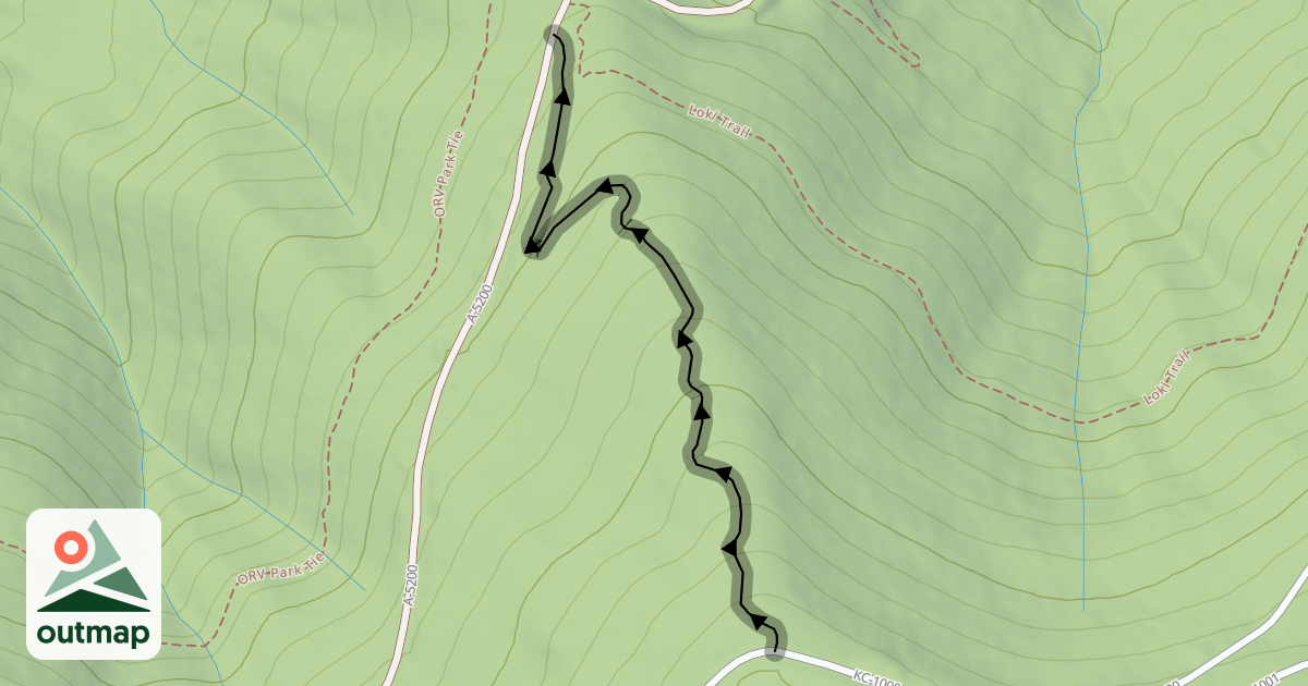Map of Down 'N Rowdy