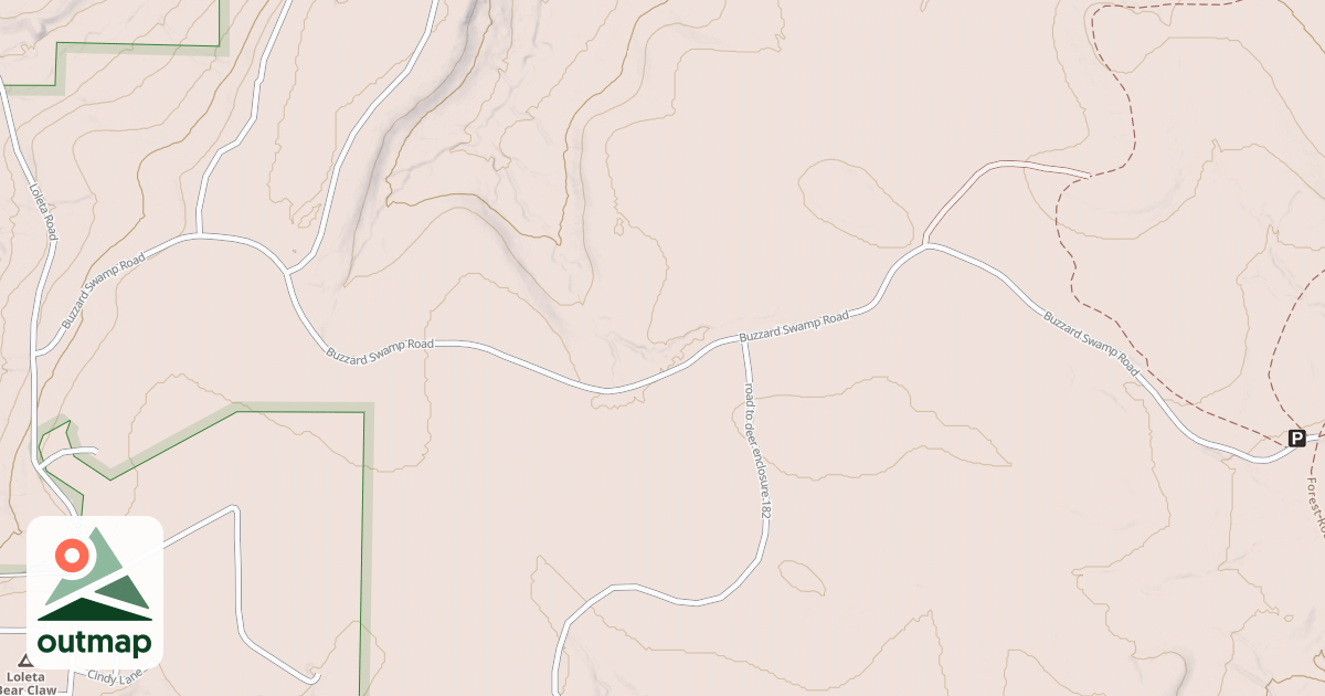 Map of BUZZARD SWAMP