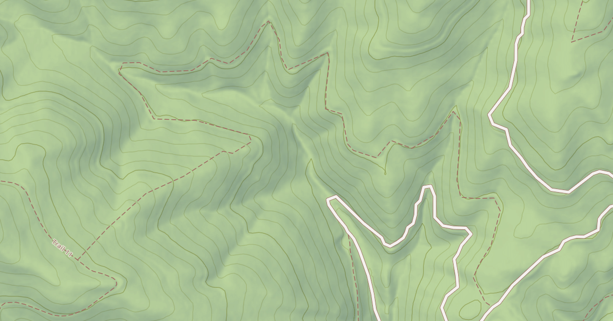 Map preview of USFS Motor Vehicle Use Map Trails 7771