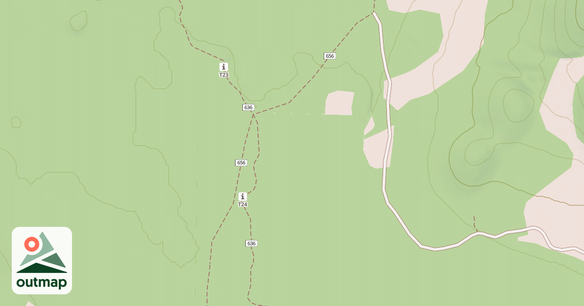 Map of USFS National Forest System Roads {A96801E8-E93C-4682-8A82-856B7D0CB459}